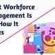 What Workforce Management