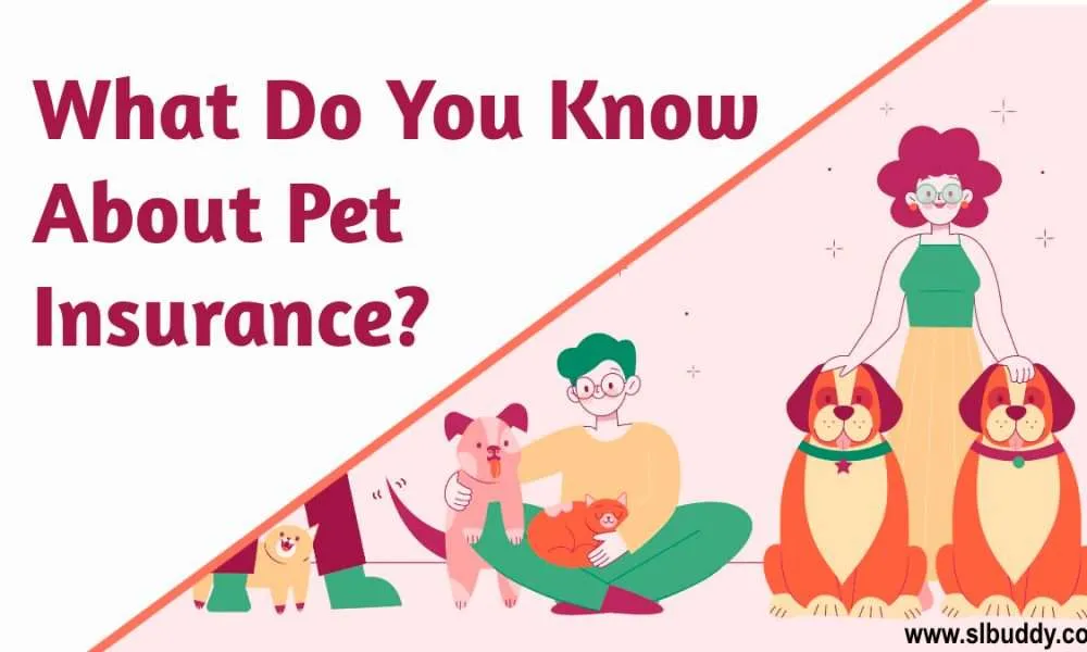 About Pet Insurance 2023 About Pet Insurance