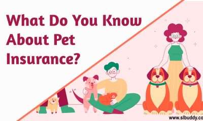About Pet Insurance