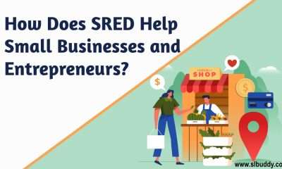Small Businesses and Entrepreneurs