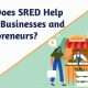 Small Businesses and Entrepreneurs