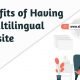Having a Multilingual Website