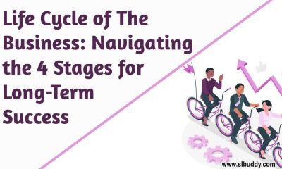 life cycle of the business