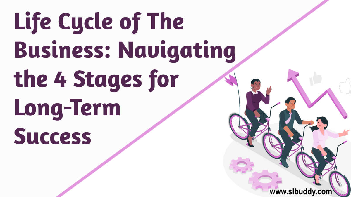 life cycle of the business