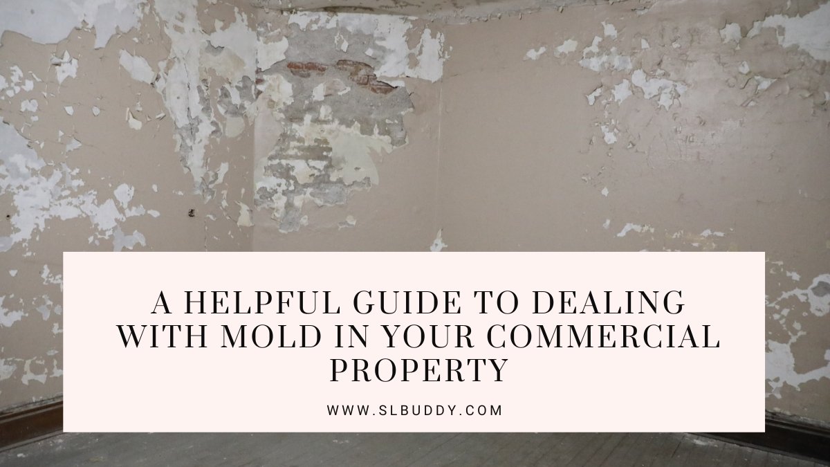 Dealing With Mold in Your Commercial Property 2025 Dealing With Mold in Your Commercial Property