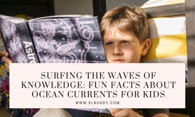 Fun Facts About Ocean Currents for Kids