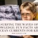 Fun Facts About Ocean Currents for Kids