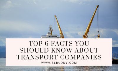 Should Know About Transport Companies