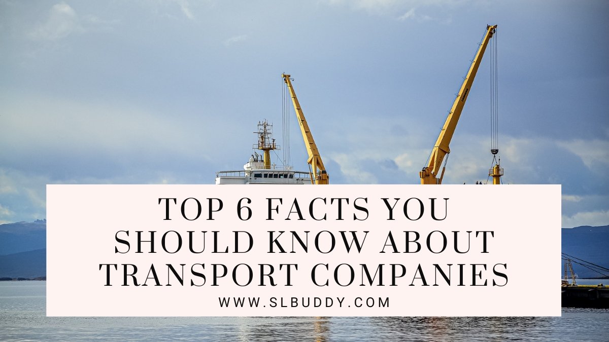 Should Know About Transport Companies 2023 Should Know About Transport Companies