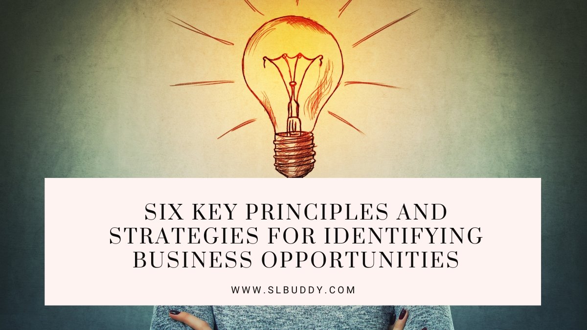 Six key principles and strategies for identifying business opportunities