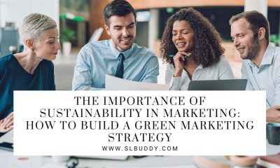 How to Build a Green Marketing Strategy