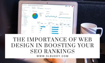 Web Design in Boosting Your SEO Rankings