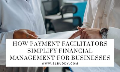 How Payment Facilitators Simplify Financial Management for Businesses