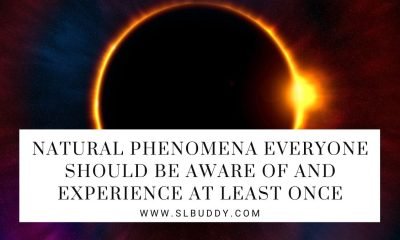 Natural Phenomena Everyone Should Be Aware Of And Experience At Least Once