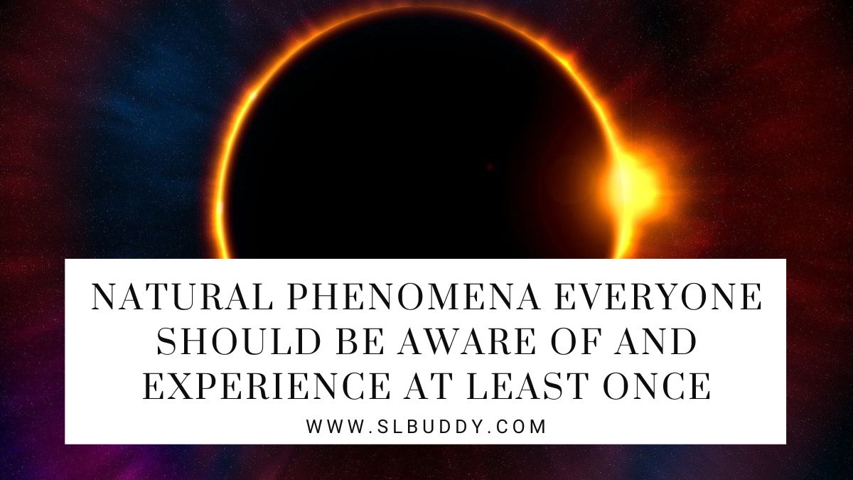 Natural Phenomena Everyone Should Be Aware Of And Experience At Least Once 2025 Natural Phenomena Everyone Should Be Aware Of And Experience At Least Once