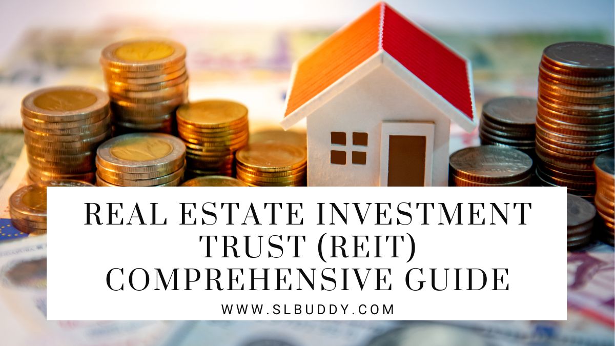 Real Estate Investment Trust REIT 2023 Real Estate Investment Trust (REIT)