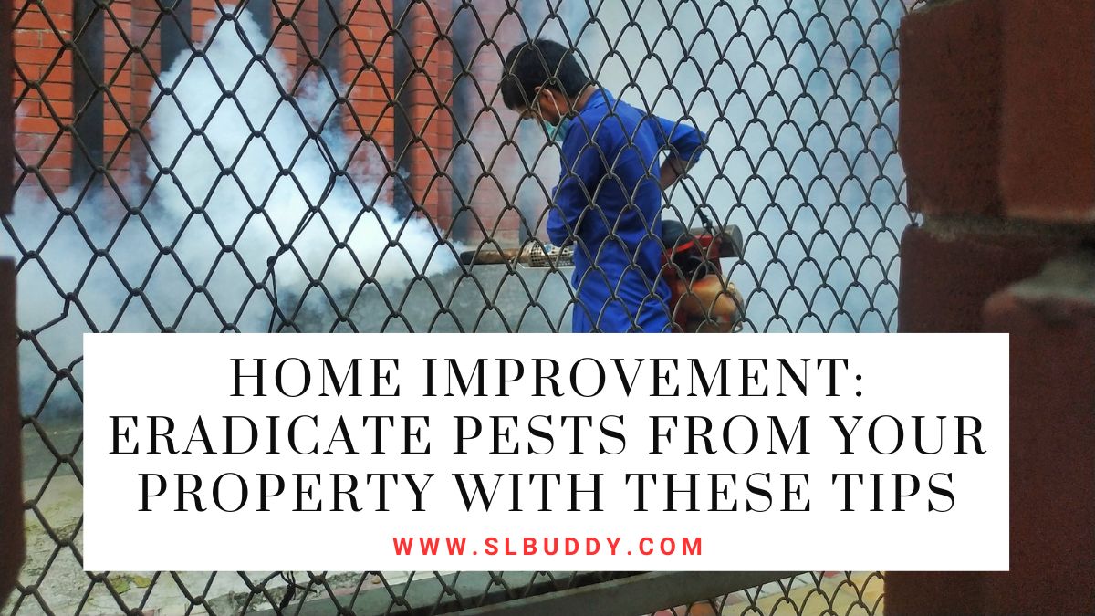 Eradicate Pests From Your Property With These Tips 2023 Eradicate Pests From Your Property With These Tips