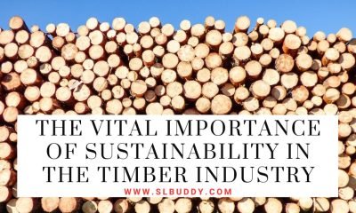 The Vital Importance of Sustainability in the Timber Industry
