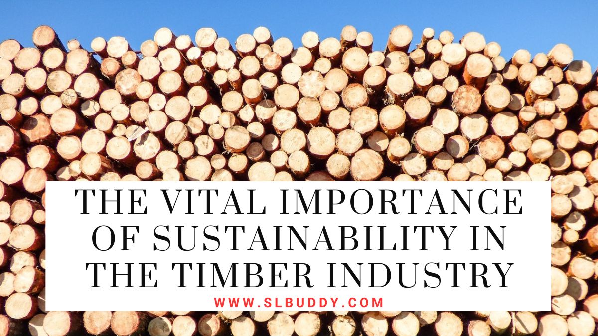 The Vital Importance of Sustainability in the Timber Industry 2023 The Vital Importance of Sustainability in the Timber Industry