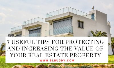 Useful Tips for Protecting and Increasing the Value of Your Real Estate Property