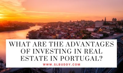 What Are the Advantages of Investing in Real Estate in Portugal?