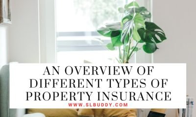 An Overview of Different Types of Property Insurance