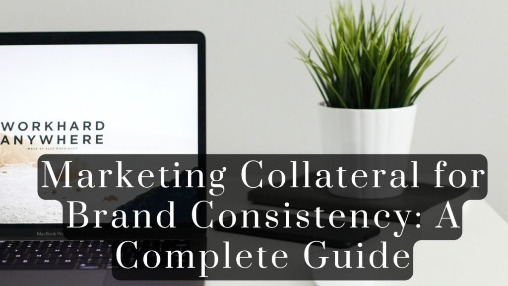 Marketing Collateral for Brand Consistency 2025 Marketing Collateral for Brand Consistency