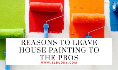 Reasons to Leave House Painting to the Pros