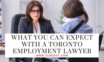 What You Can Expect with a Toronto Employment Lawyer 2023 What You Can Expect with a Toronto Employment Lawyer