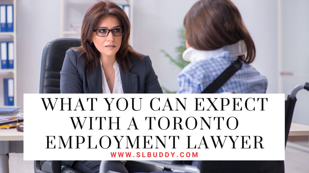 What You Can Expect with a Toronto Employment Lawyer 2023 What You Can Expect with a Toronto Employment Lawyer