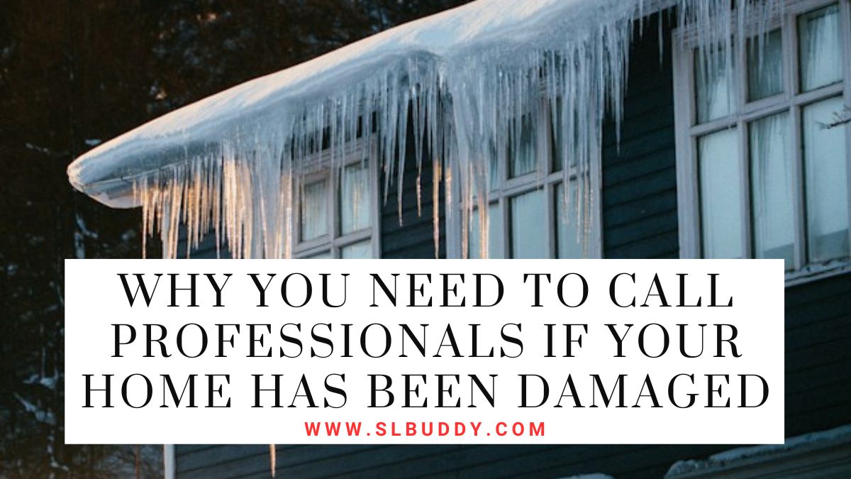 Why You Need to Call Professionals if Your Home Has Been Damaged