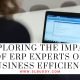 Exploring the Impact of ERP Experts on Business Efficiency