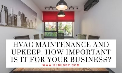 How Important Is It for Your Business
