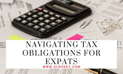 Navigating Tax Obligations for Expats