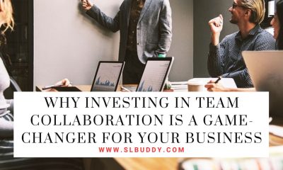 Why Investing in Team Collaboration is a Game-Changer for Your Business