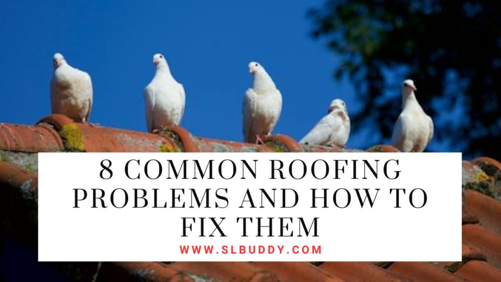 8 Common Roofing Problems and How to Fix Them - slbuddy.com