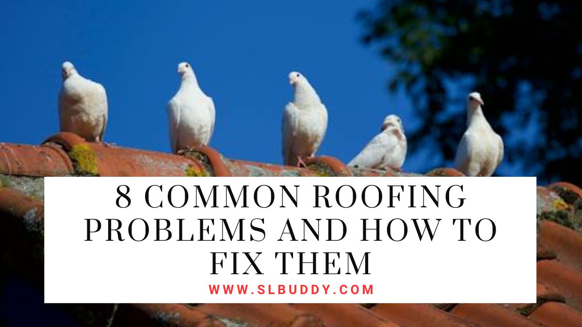 Common Roofing Problems and How to Fix Them