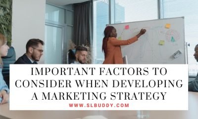 Important Factors to Consider When Developing a Marketing Strategy