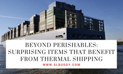 Beyond Perishables: Surprising Items That Benefit from Thermal Shipping