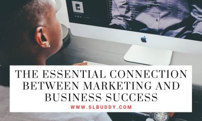 The Essential Connection Between Marketing and Business Success