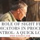 The Role of Sight Flow Indicators in Process Control
