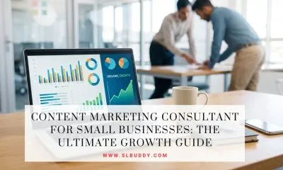 A professional content marketing consultant for small businesses analyzing organic growth charts and SEO dashboard data on a laptop inside a modern office workspace.
