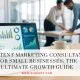 content marketing consultant small business 2026 A professional content marketing consultant for small businesses analyzing organic growth charts and SEO dashboard data on a laptop inside a modern office workspace.